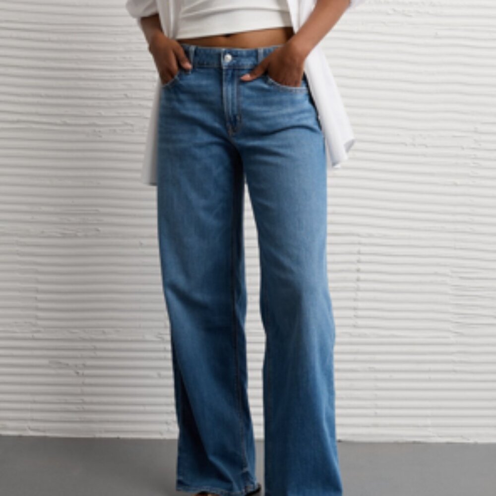 American Eagle Low-Rise Baggy Wide Leg Jean 00 Reg